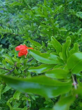 태안남면농부님의 자유주제 · 자유게시판 작성글 사진