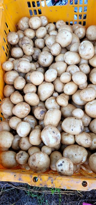 범이님의 ☔️장마 대비 하셨나요? · 참여글 작성글 사진