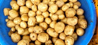 범이님의 ☔️장마 대비 하셨나요? · 참여글 작성글 사진