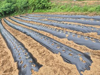 징금다리님의 자유주제 · 자유게시판 작성글 사진