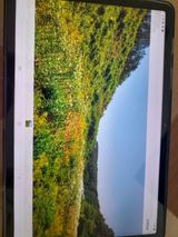 팜모닝 기타작물·영농일지 게시글 이미지