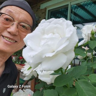 이훈정(시몬)님의 버섯 · 영농일지 작성글 사진