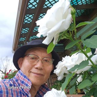 이훈정(시몬)님의 버섯 · 영농일지 작성글 사진