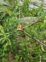 팜모닝 자유주제·자유게시판 게시글 이미지