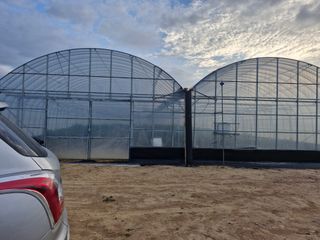 이미자님의 고추 · 영농일지 작성글 사진