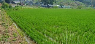 이흥옥님의 자유주제 · 자유게시판 작성글 사진