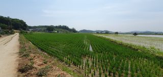 이흥옥님의 자유주제 · 자유게시판 작성글 사진