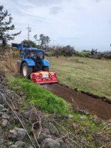 팜모닝 팜모닝·출석 게시글 이미지