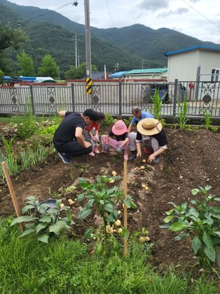 마늘님의 ☔️장마 대비 하셨나요? · 참여글 작성글 사진