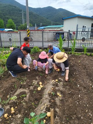 마늘님의 ☔️장마 대비 하셨나요? · 참여글 작성글 사진