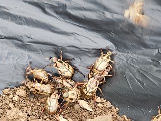 farmer님의 자유주제 · 자유게시판 작성글 사진