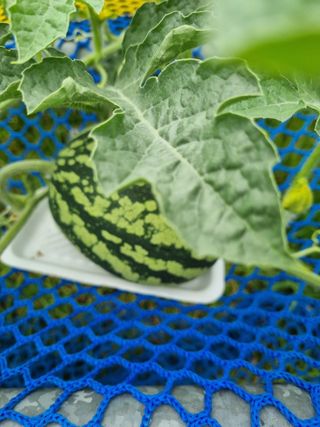 이남신님의 자유주제 · 자유게시판 작성글 사진