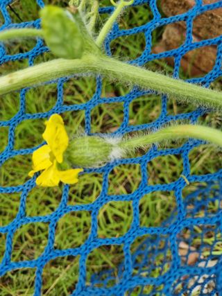 이남신님의 자유주제 · 자유게시판 작성글 사진