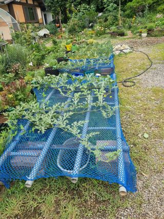 이남신님의 자유주제 · 자유게시판 작성글 사진