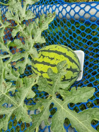 이남신님의 자유주제 · 자유게시판 작성글 사진