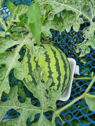 이남신님의 자유주제 · 자유게시판 작성글 사진