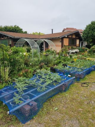 이남신님의 자유주제 · 자유게시판 작성글 사진