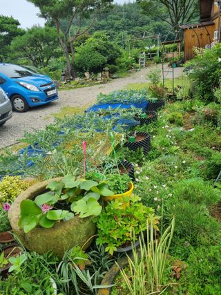 이남신님의 자유주제 · 자유게시판 작성글 사진