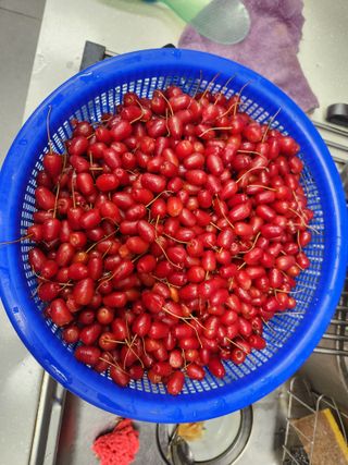 김재학님의 자유주제 · 자유게시판 작성글 사진