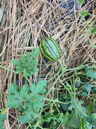 김재학님의 자유주제 · 자유게시판 작성글 사진