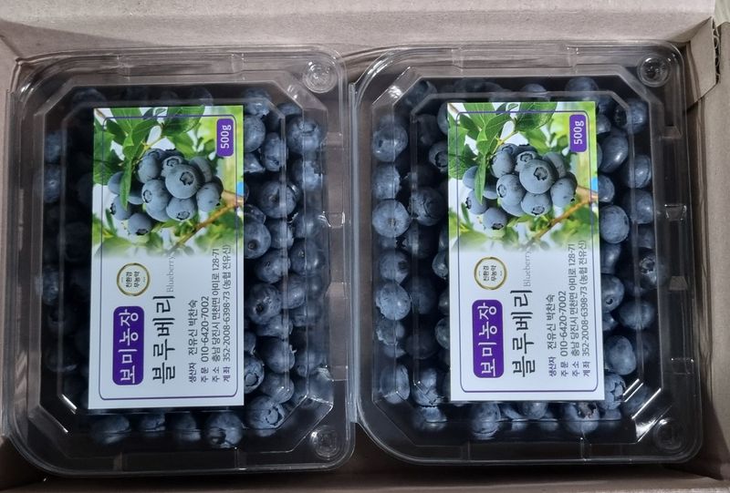 보미농장님의 장터 판매 상품 [블루베리 1kg부터 주문가능 택배비포함 판매종료] 첨부 사진