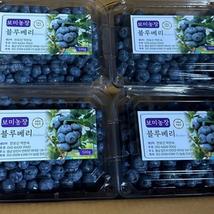 보미농장님의 장터 판매 상품 [블루베리 1kg부터 주문가능 택배비포함 판매종료] 첨부 사진