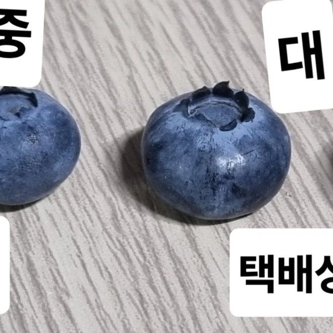 보미농장님의 장터 판매 상품 [블루베리 1kg부터 주문가능 택배비포함 판매종료] 첨부 사진