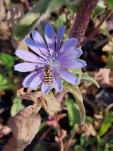 팜모닝 자유주제·자유게시판 게시글 이미지