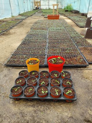 상추17741님의 자유주제 · 자유게시판 작성글 사진