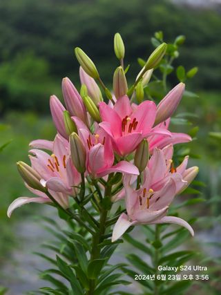 뮤M즈님의 자유주제 · 자유게시판 작성글 사진