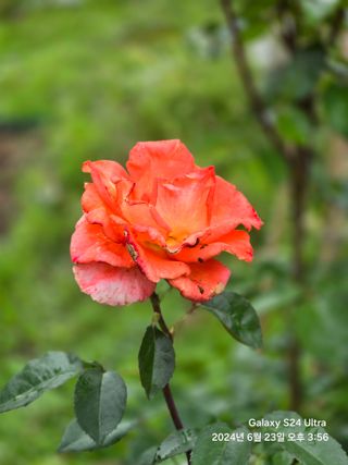 뮤M즈님의 자유주제 · 자유게시판 작성글 사진