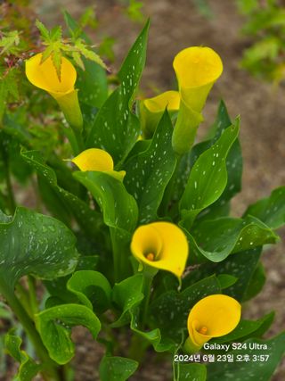 뮤M즈님의 자유주제 · 자유게시판 작성글 사진