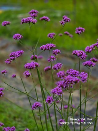 뮤M즈님의 자유주제 · 자유게시판 작성글 사진