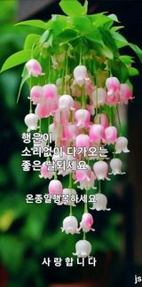 팜모닝 자유주제·자유게시판 게시글 이미지