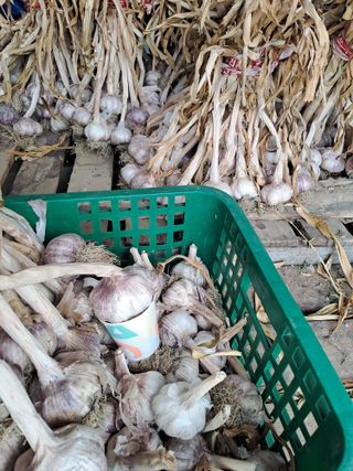 박흠님의 ☔️장마 대비 하셨나요? · 참여글 작성글 사진