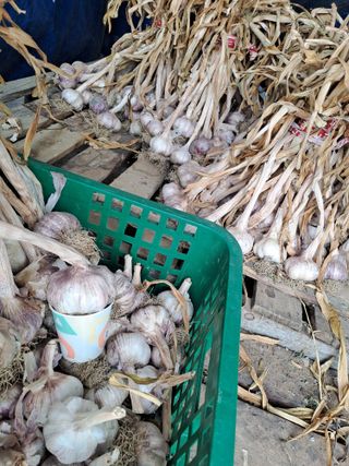 박흠님의 ☔️장마 대비 하셨나요? · 참여글 작성글 사진