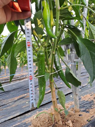 박흠님의 ☔️장마 대비 하셨나요? · 참여글 작성글 사진