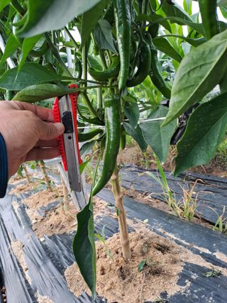 박흠님의 ☔️장마 대비 하셨나요? · 참여글 작성글 사진