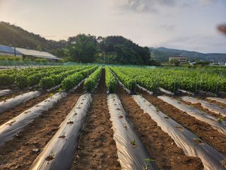 HYUN님의 ☔️장마 대비 하셨나요? · 참여글 작성글 사진
