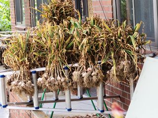 김동호님의 자유주제 · 자유게시판 작성글 사진