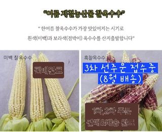 상근님의 작성글 사진