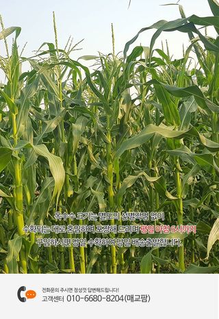 상근님의 작성글 사진