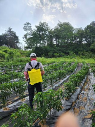 고영희님의 ☔️장마 대비 하셨나요? · 참여글 작성글 사진