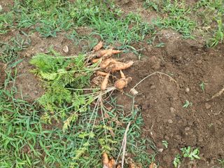 조상희님의 자유주제 · 자유게시판 작성글 사진