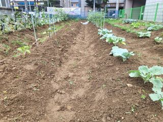 조상희님의 자유주제 · 자유게시판 작성글 사진