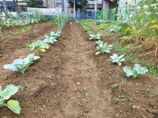 조상희님의 자유주제 · 자유게시판 작성글 사진