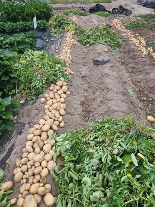 Bmww2226님의 자유주제 · 자유게시판 작성글 사진