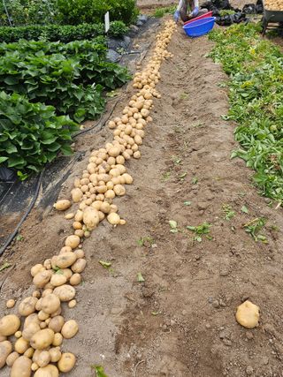 Bmww2226님의 자유주제 · 자유게시판 작성글 사진