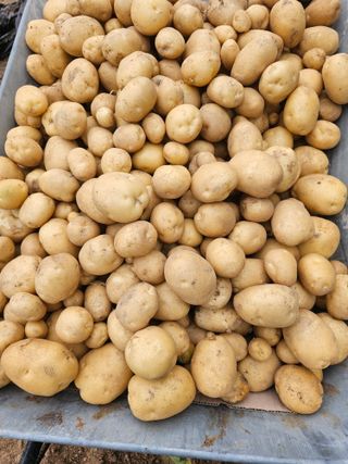 Bmww2226님의 자유주제 · 자유게시판 작성글 사진