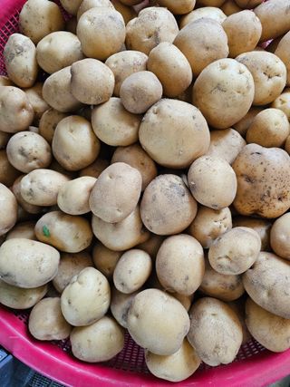 Bmww2226님의 자유주제 · 자유게시판 작성글 사진